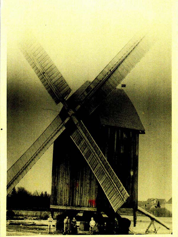 Bergholz. Windmühle meiner Urgroßeltern Görges. Um 1895